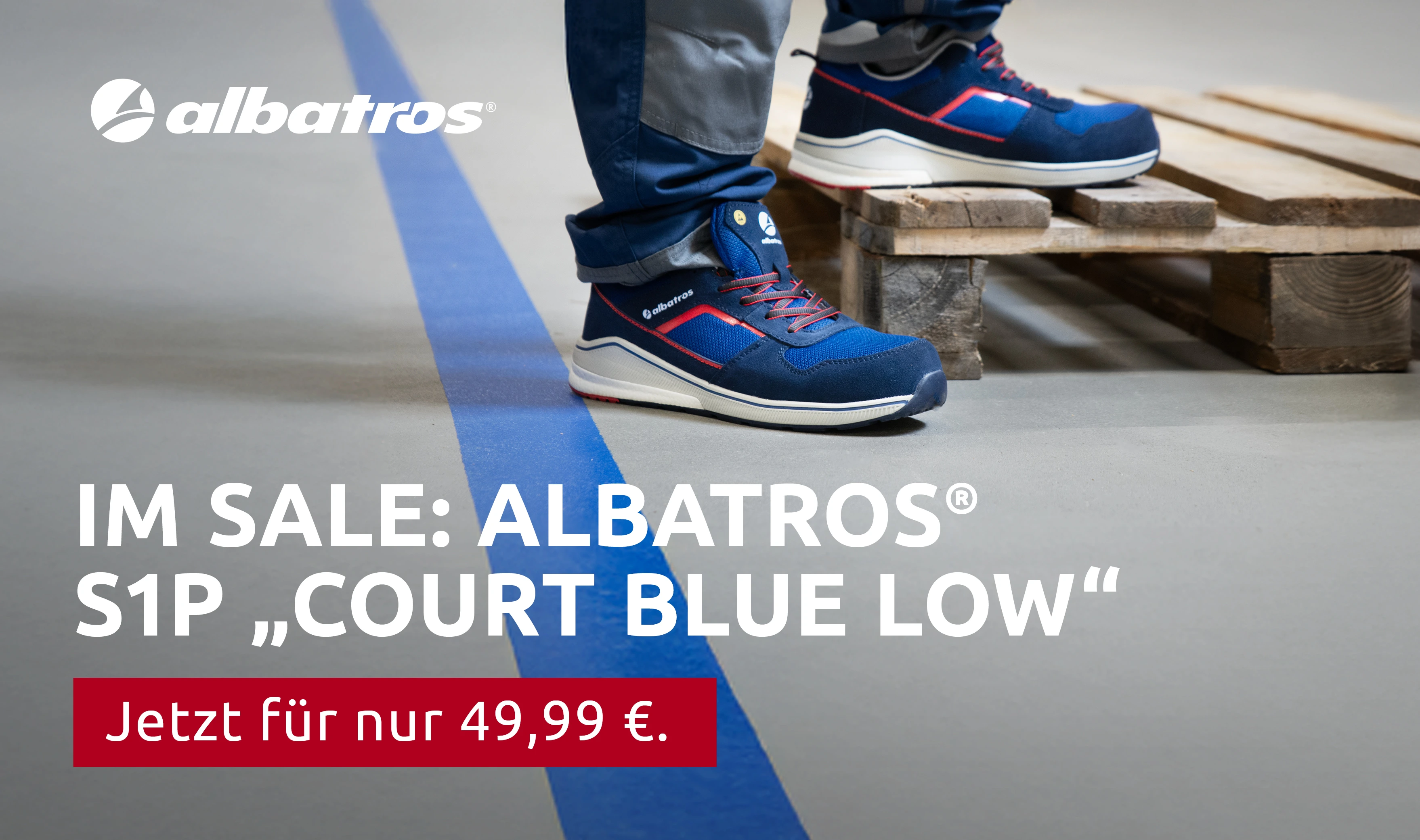 Albatros_Sale